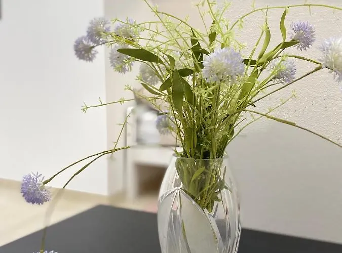 Apartma Azurre Appartamento *