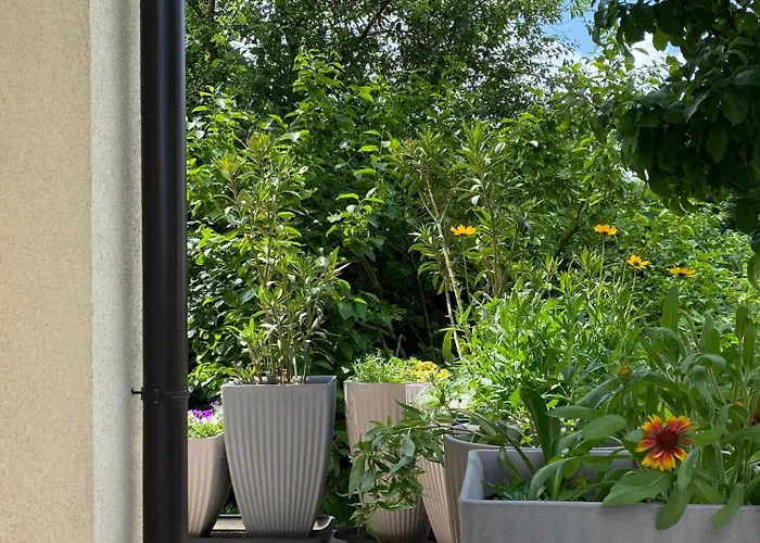 Apartma Azurre * Postumia